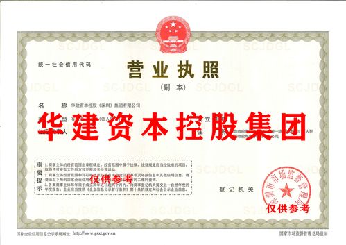 國內貿易代理 助力企業高效拓展市場的重要橋梁